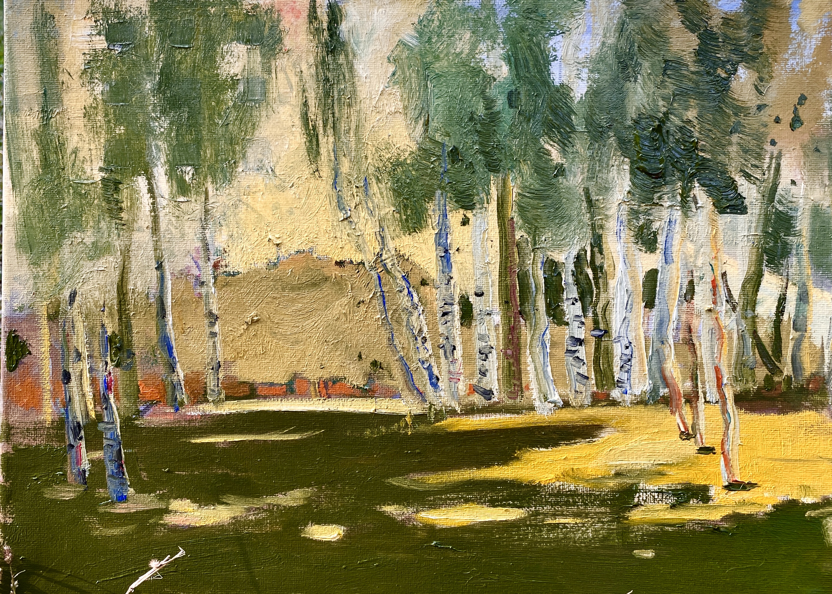1679749618318953.jpg 晨荫 油画 40X50 2022年.jpg